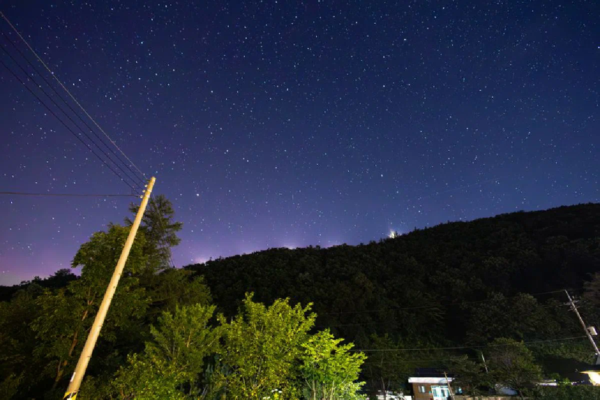 A clear night sky filled with stars over a serene forest and distant village rooftops.