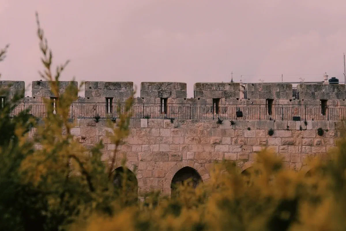 A detailed view of a historic stone wall surrounded by lush greenery on a cloudy day.