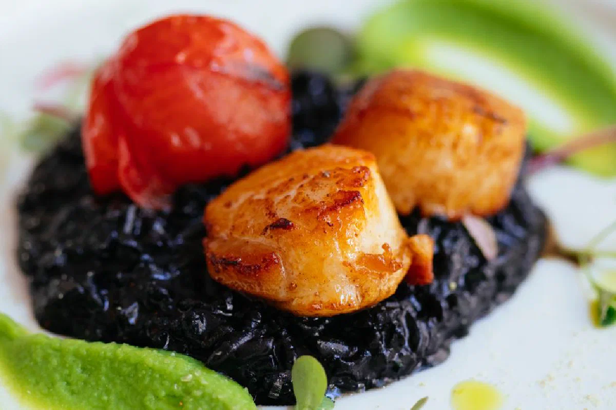 Delicious gourmet scallops served on black risotto with tomato and garnish.