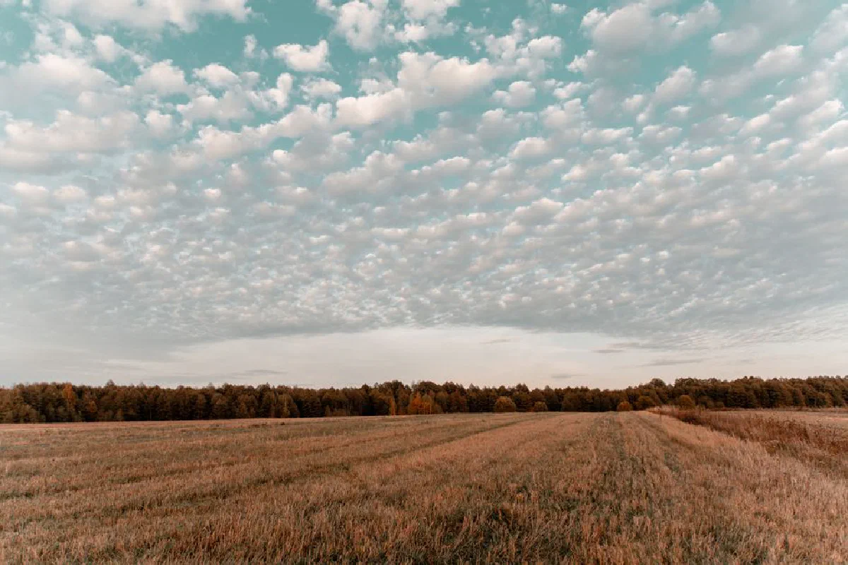 Tranquil Belarusian countryside landscape with expansive field and beautiful cloud-filled sky.