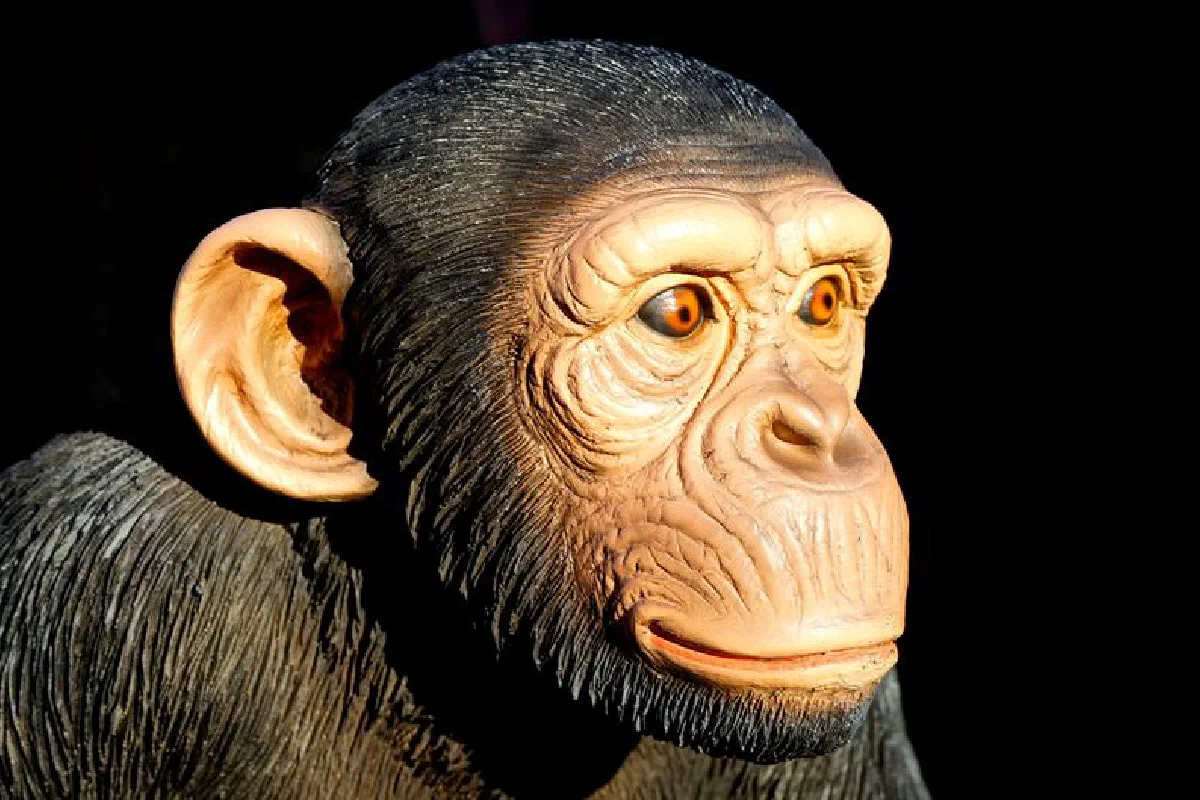 Detailed close-up shot of a realistic chimpanzee figurine showcasing lifelike textures and expressions.