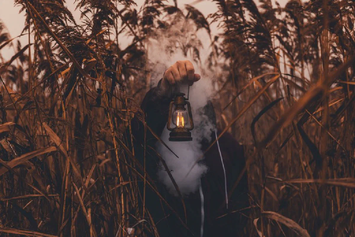 A person holding a lantern amidst tall grasses with smoke, creating a mysterious atmosphere at dusk.