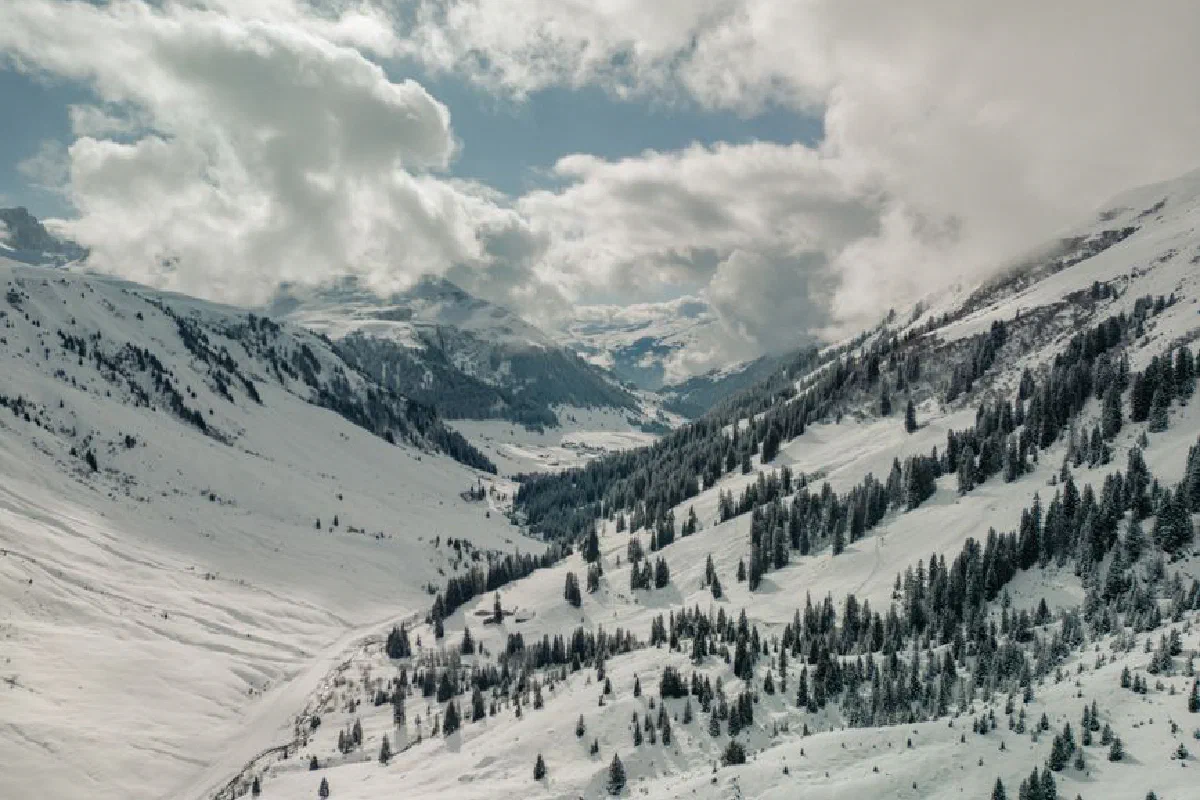 Breathtaking view of snow-covered Alps with pine trees under a cloudy winter sky.