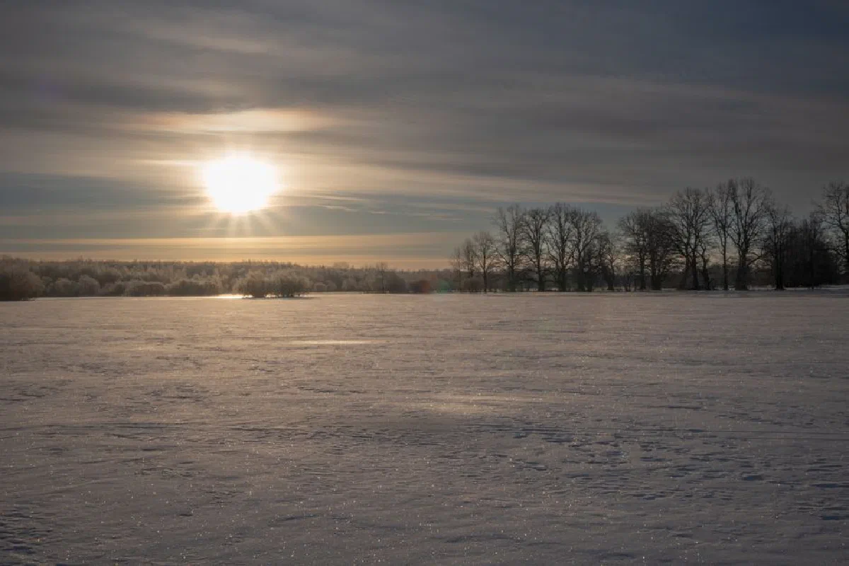 Capture of a tranquil winter sunrise over a snowy field in Estonia, highlighting bare trees and a bright sky.