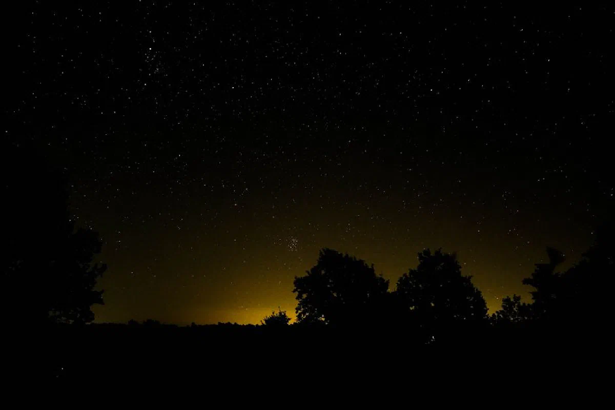 A captivating view of a star-filled sky with silhouetted trees on the horizon at early sunrise.