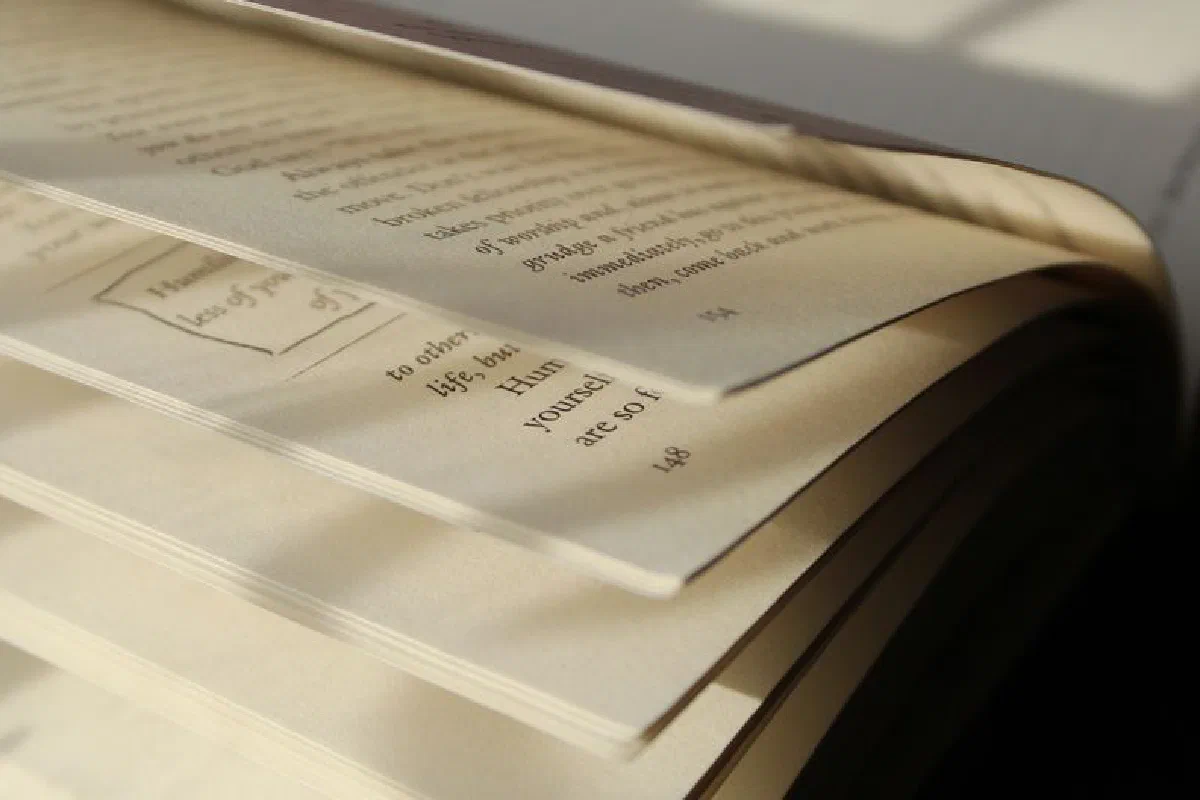 Detailed close-up of an open book, highlighting the text in soft natural light.