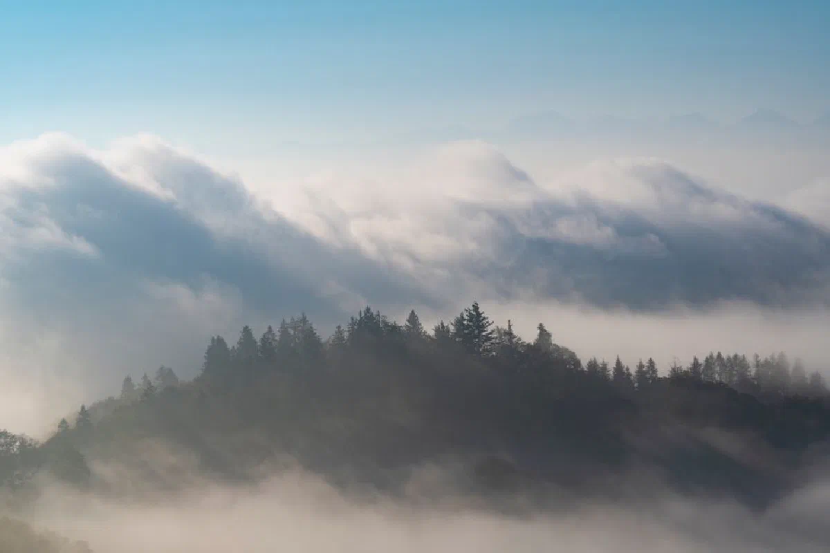 Serene mountain landscape enveloped in fog and clouds under a clear blue sky.