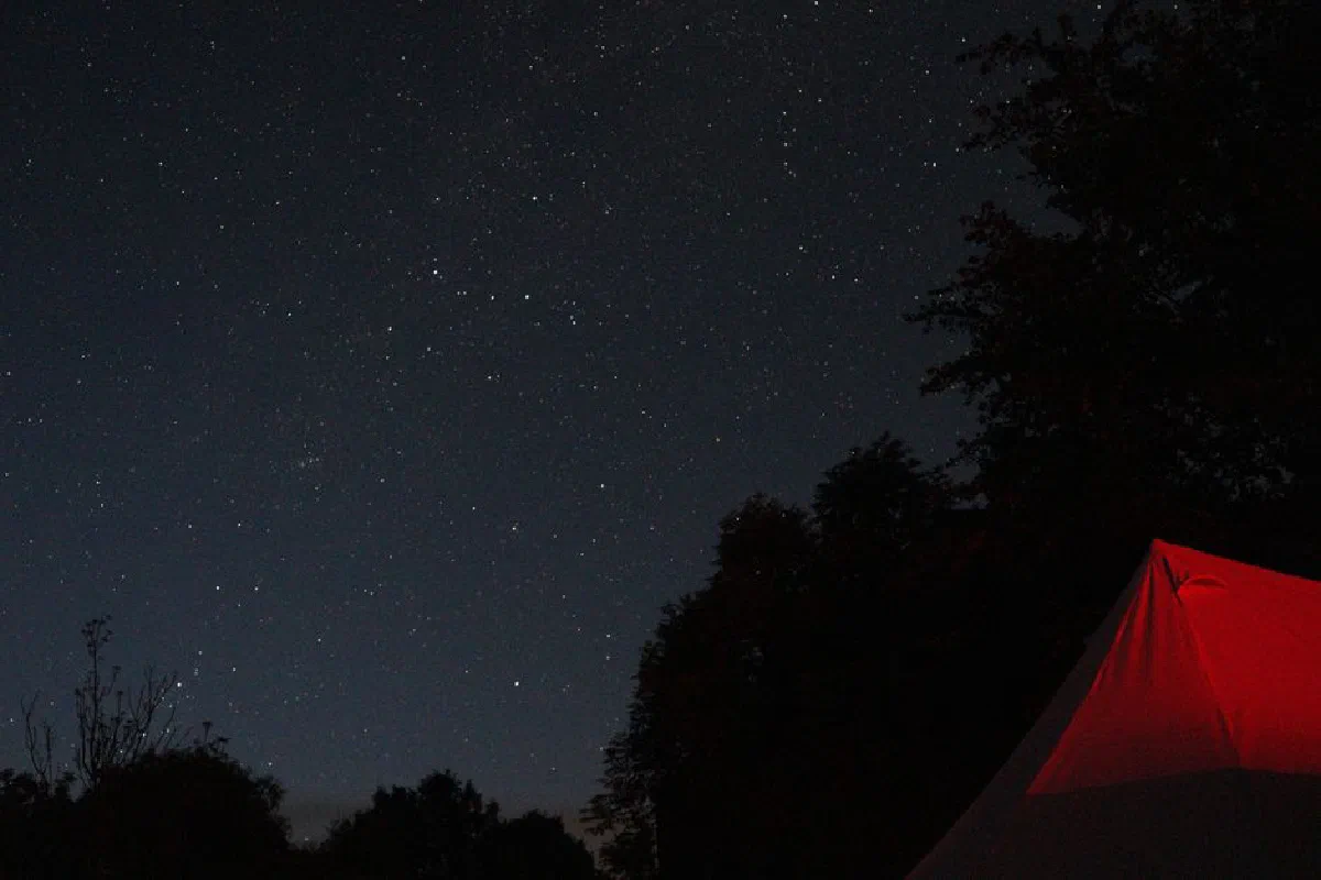 Starry sky over a campsite with a tent glowing softly. Perfect for nature enthusiasts.