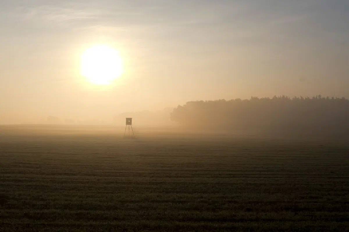 Tranquil sunrise over a misty field with a wooden observation tower in the distance.