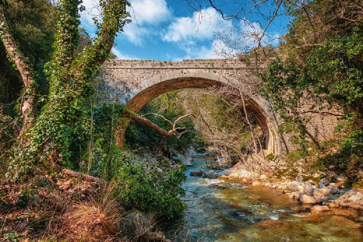 Arch bridge over a scenic stream surrounded by lush greenery and rocks in a summer setting.