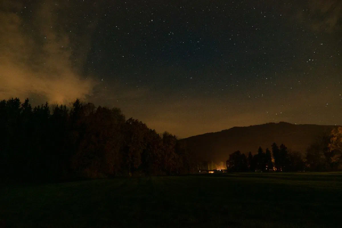 A serene starry night sky over a quiet countryside field in Germany. Peaceful and tranquil setting.