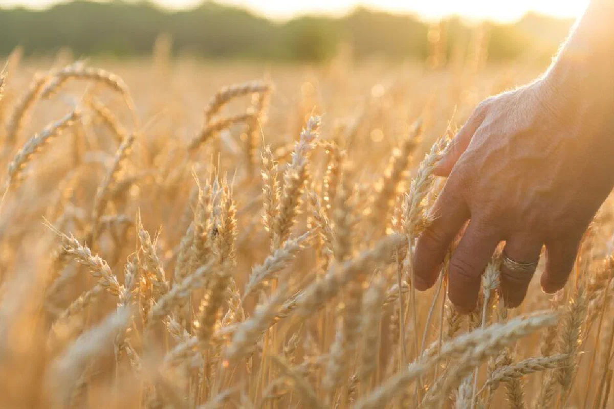 What is Naturalism?
