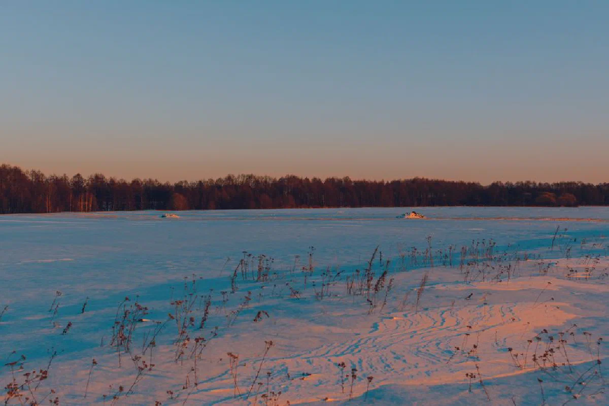 A peaceful snowy landscape at sunrise with a clear sky and frosty field.