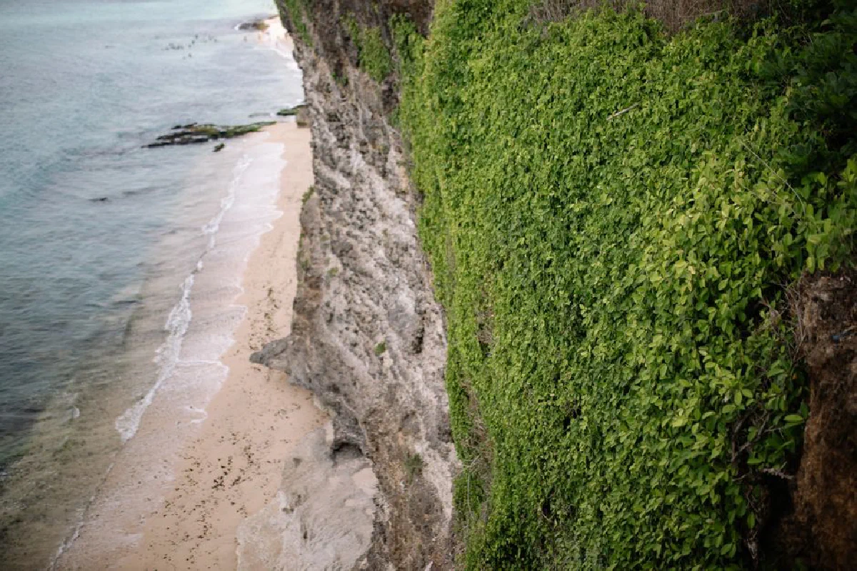 A stunning aerial shot of lush green cliffs meeting a tranquil sandy beach, showcasing natural beauty.