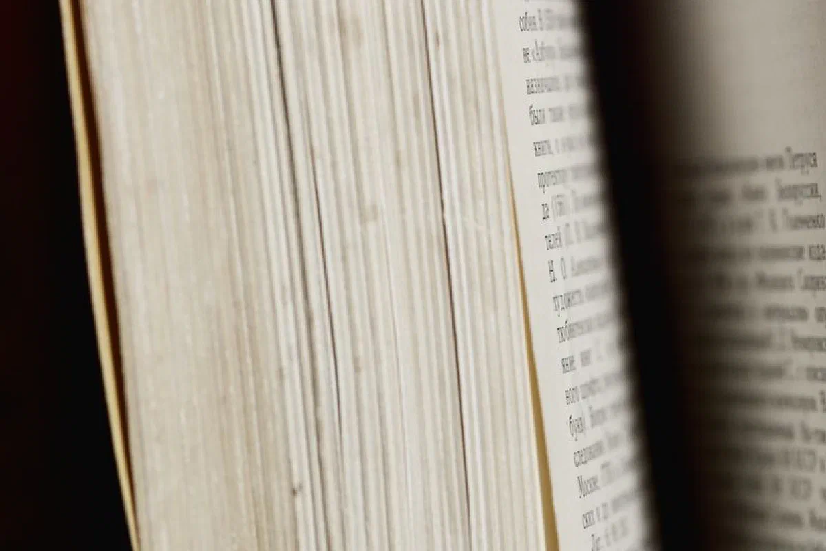 Detailed view of a book with visible text and paper texture.