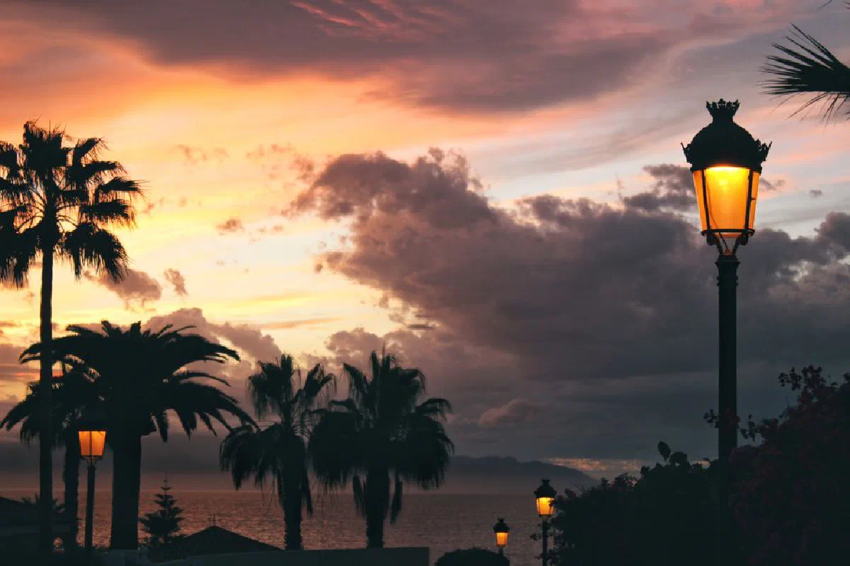 A picturesque sunset in Santa Cruz de Tenerife with palm trees and a glowing streetlamp.