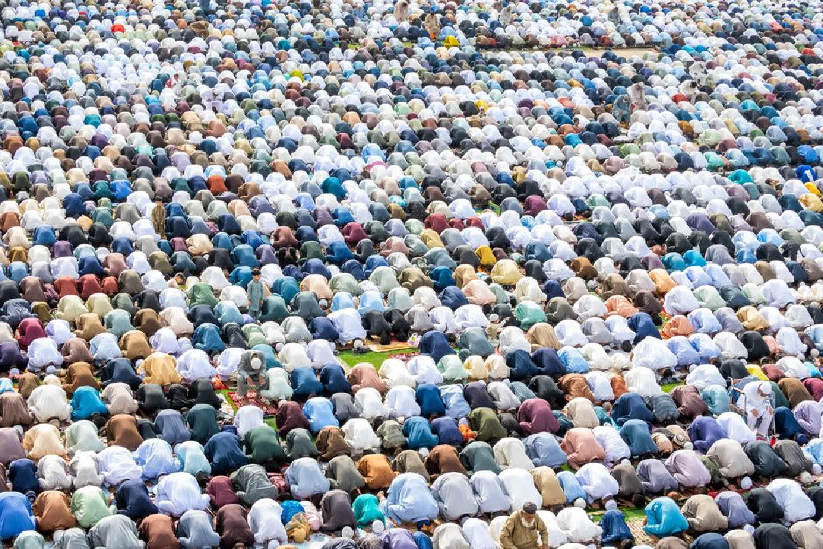 A large crowd of Muslim pilgrims bowing in prayer during an outdoor religious gathering.