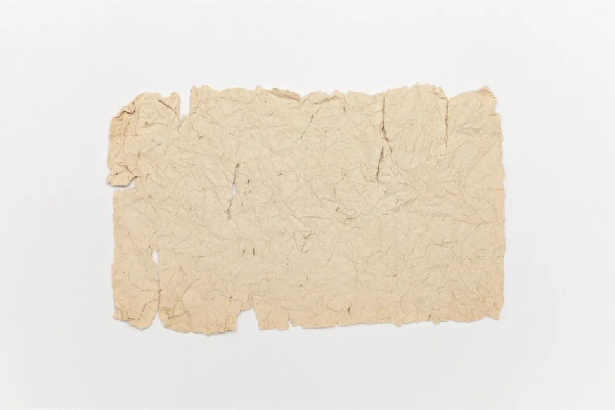 A vintage crumpled parchment paper texture suitable for backgrounds and artistic projects.