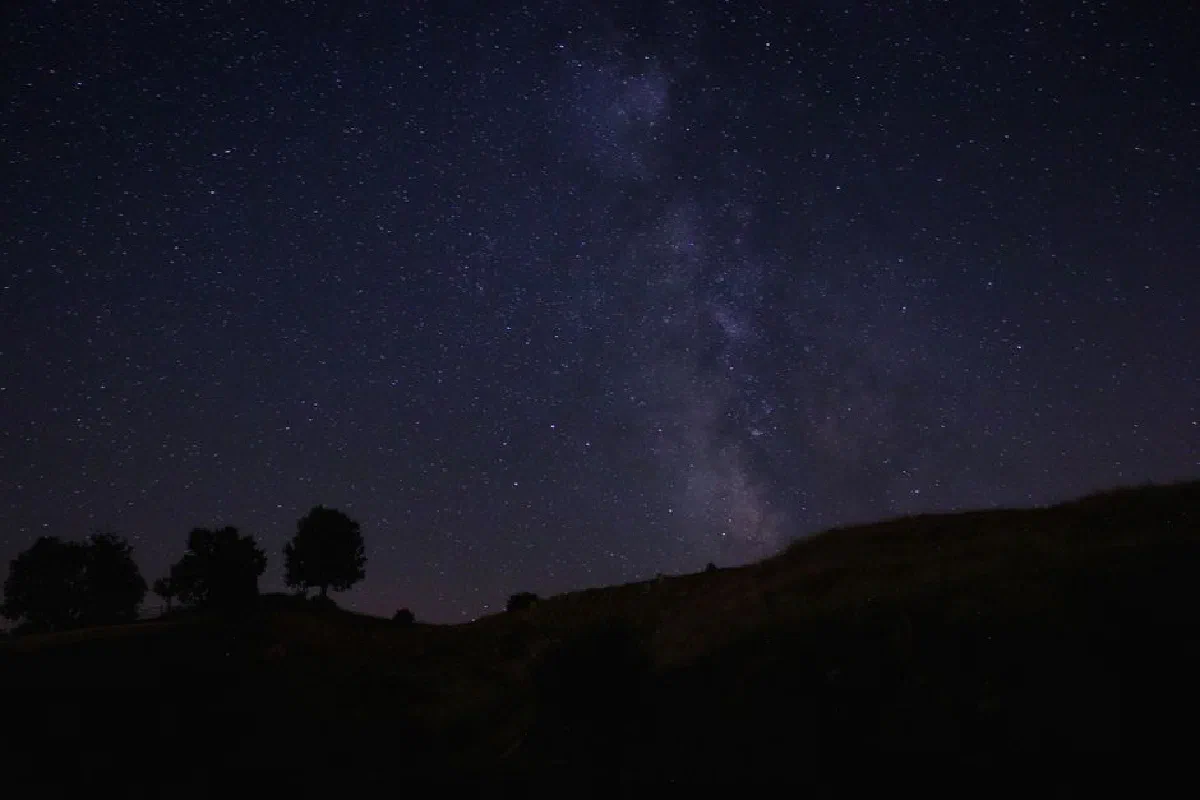 A breathtaking view of a starry night sky with silhouetted trees in the foreground.