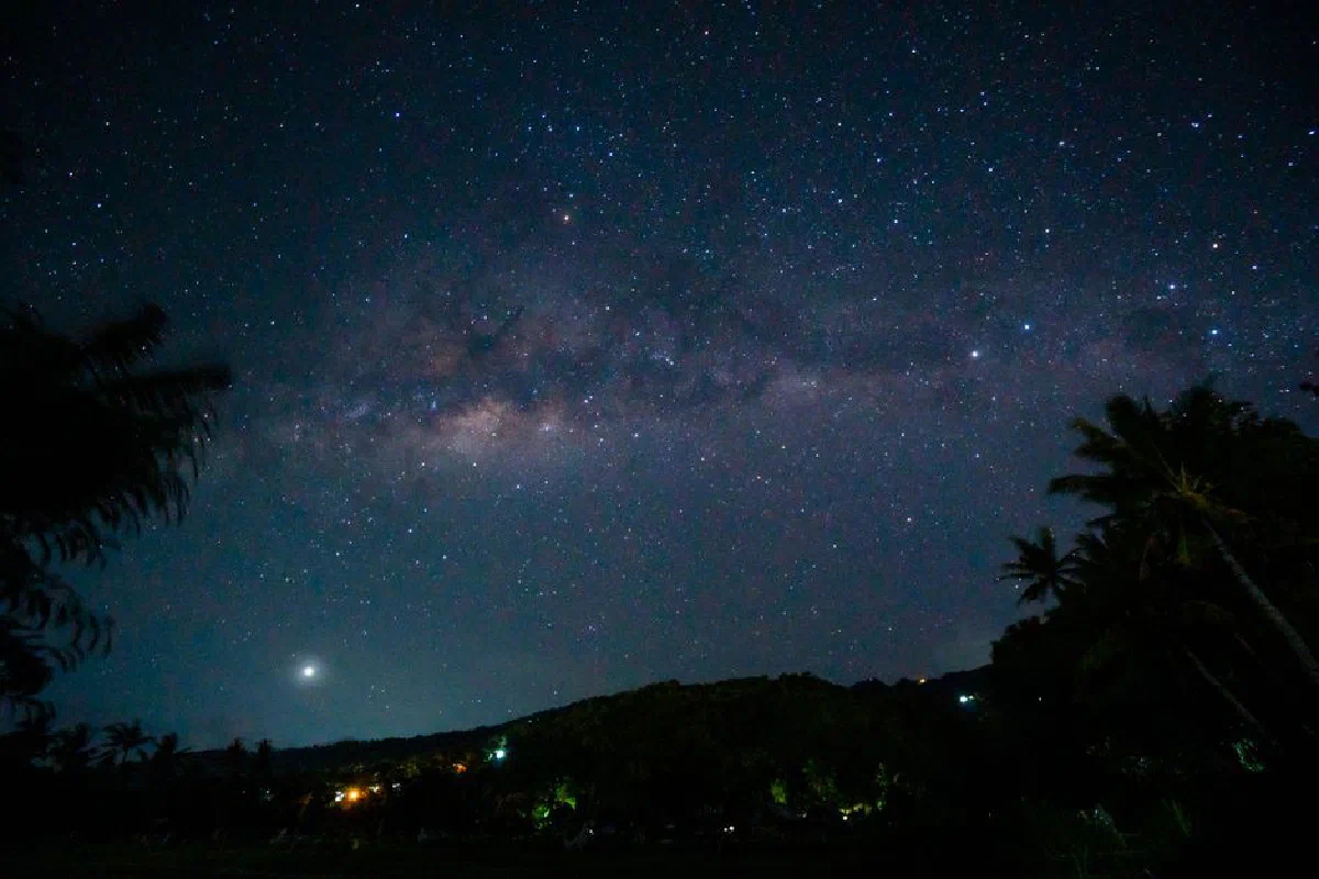 Low angle of starry sky with clouds above mount and tropical tree silhouettes at dusk