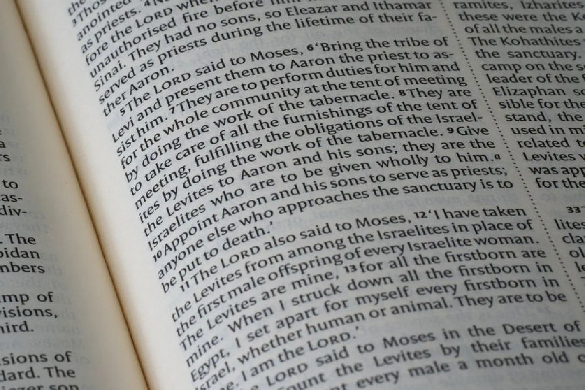 Close-up photo of Bible text from the Book of Numbers, showcasing religious scripture and themes.