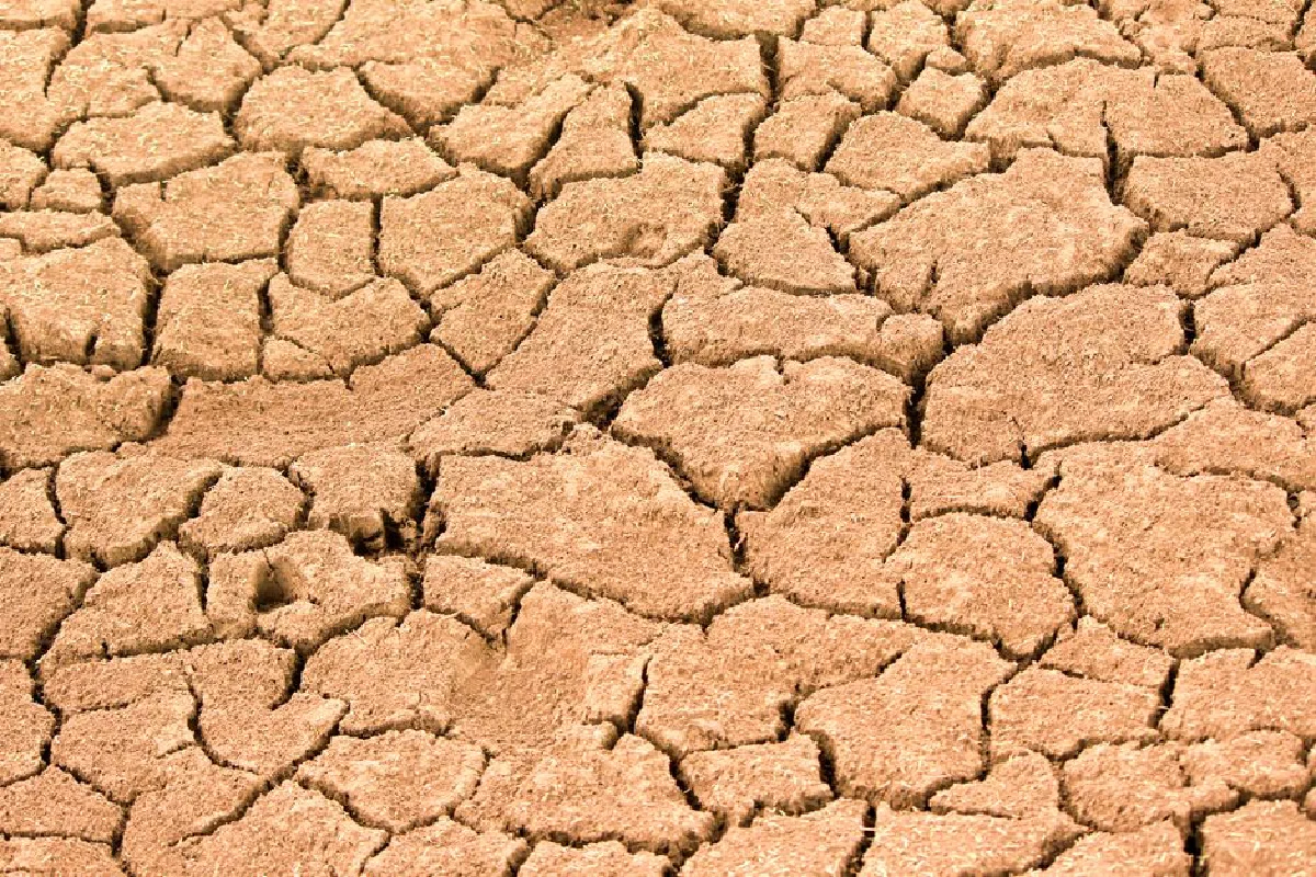 Close-up of cracked dry earth showing effects of extreme drought and climate change.