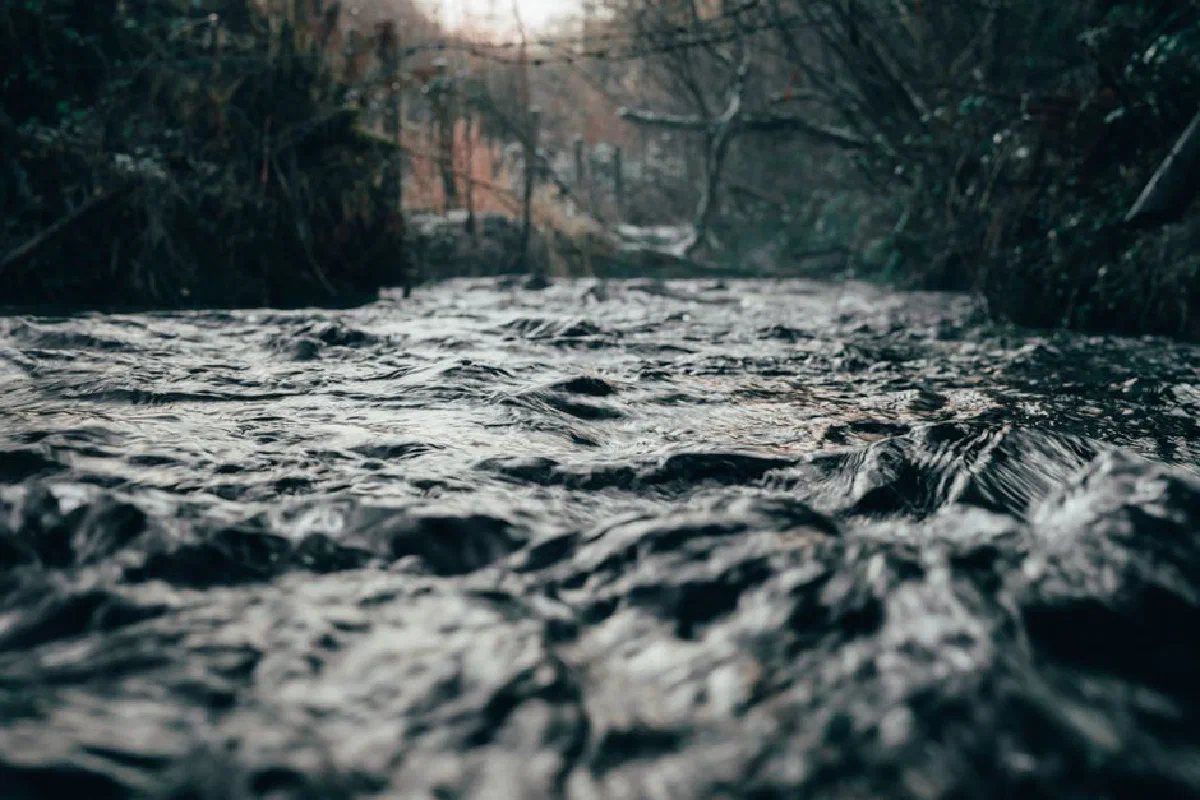A tranquil river flowing through an autumn forest, captured in high detail.