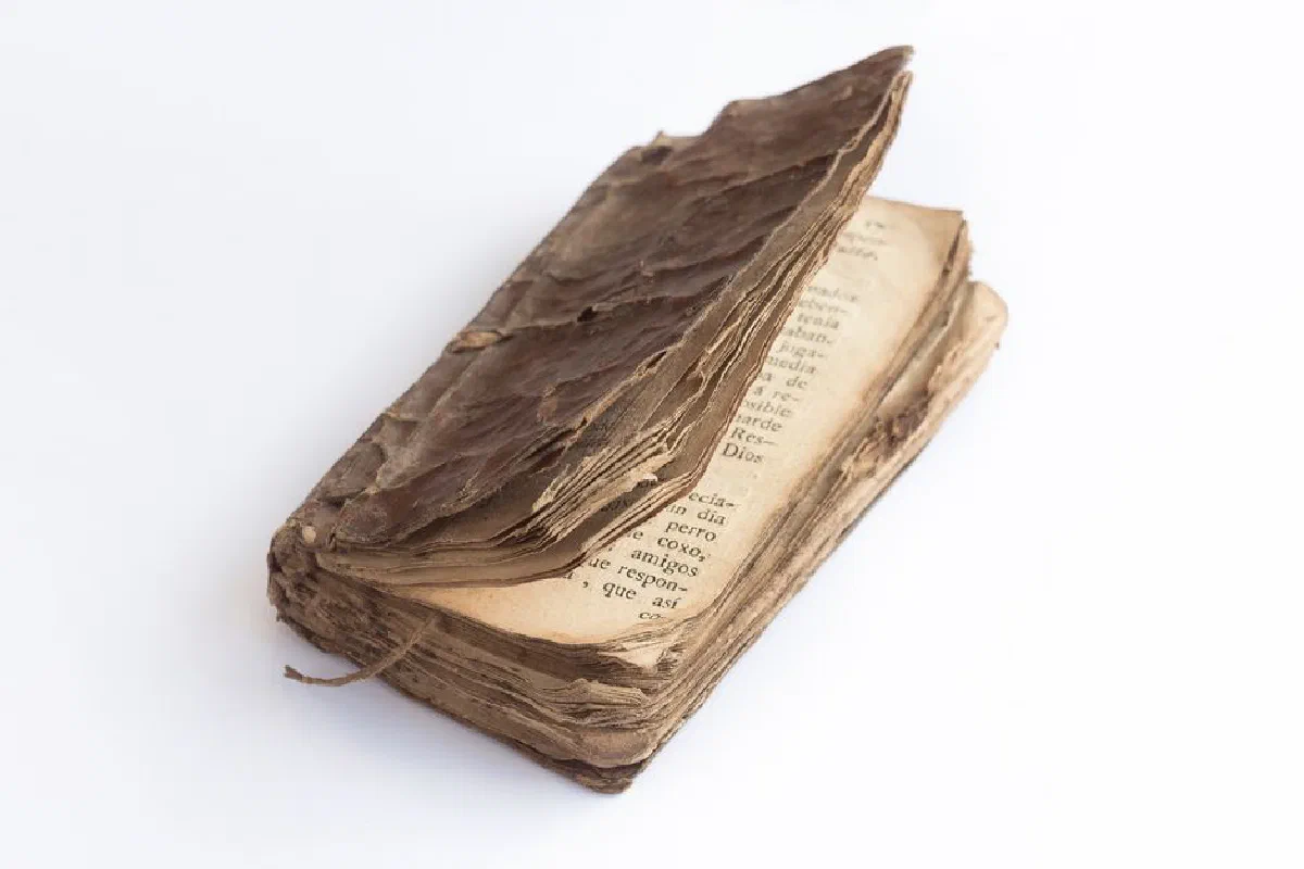 A close-up of an old, weathered book with tattered pages, showcasing its antique charm.