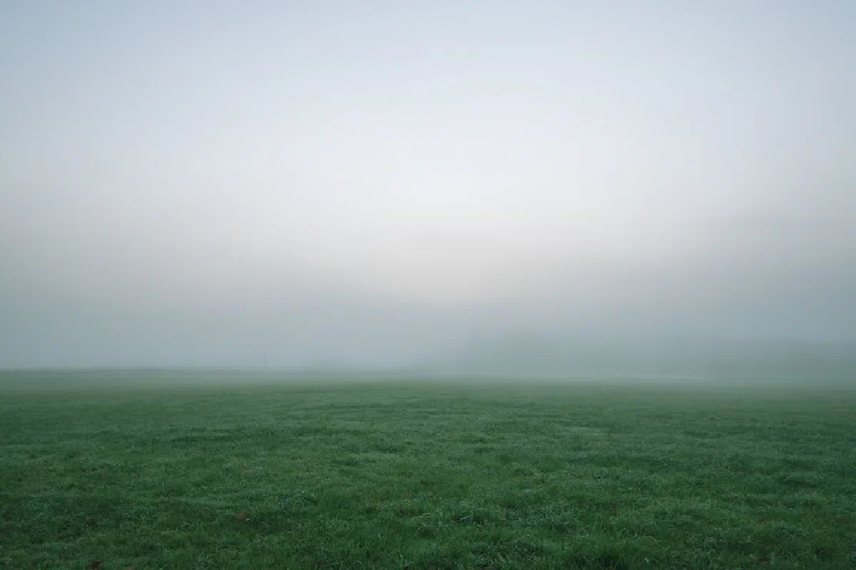 A tranquil scene of a foggy field at dawn with dewy grass and a misty horizon.