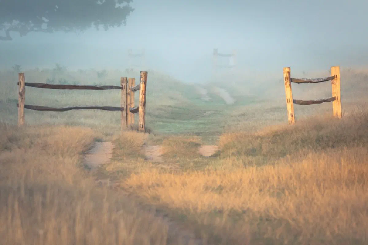 A serene rural landscape featuring a foggy path flanked by wooden fences, creating a tranquil and mysterious atmosphere.