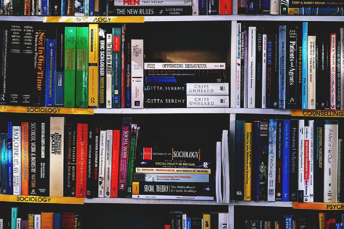 A vibrant collection of sociology books on a well-organized bookshelf.
