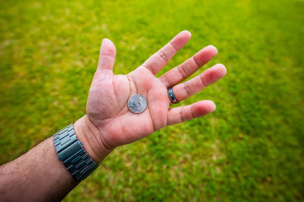 A close-up of a hand holding a coin, set against a vibrant green lawn, symbolic of wealth and nature.