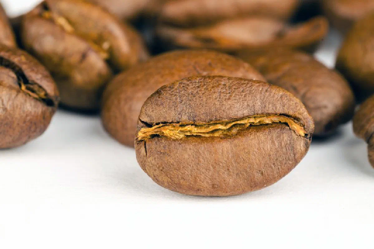Detailed macro shot of textured raw coffee beans, perfect for caffeine and aroma themes.