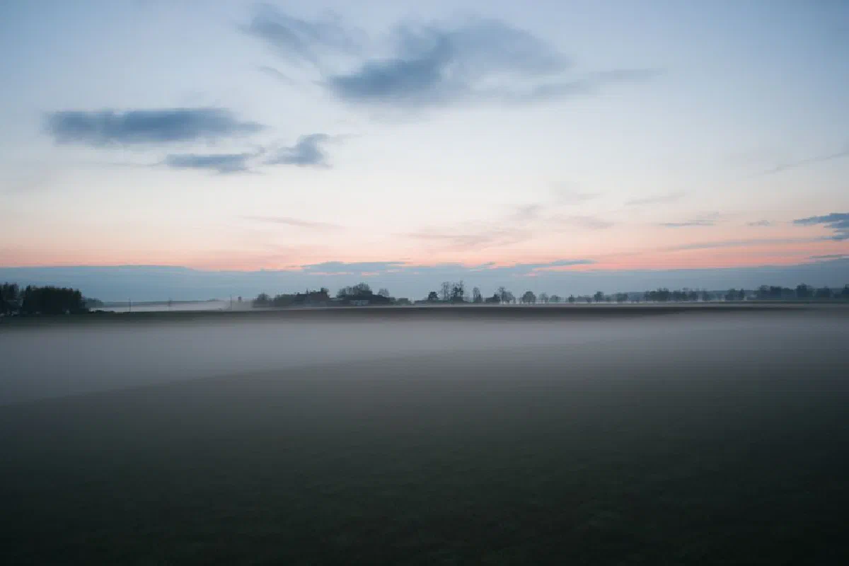 A tranquil landscape of a misty field at dawn, capturing nature's peaceful aura.