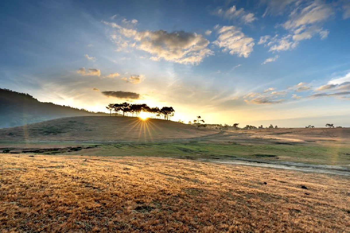 Scenic sunrise over a hill with a glowing sun and vibrant sky in a pastoral landscape.
