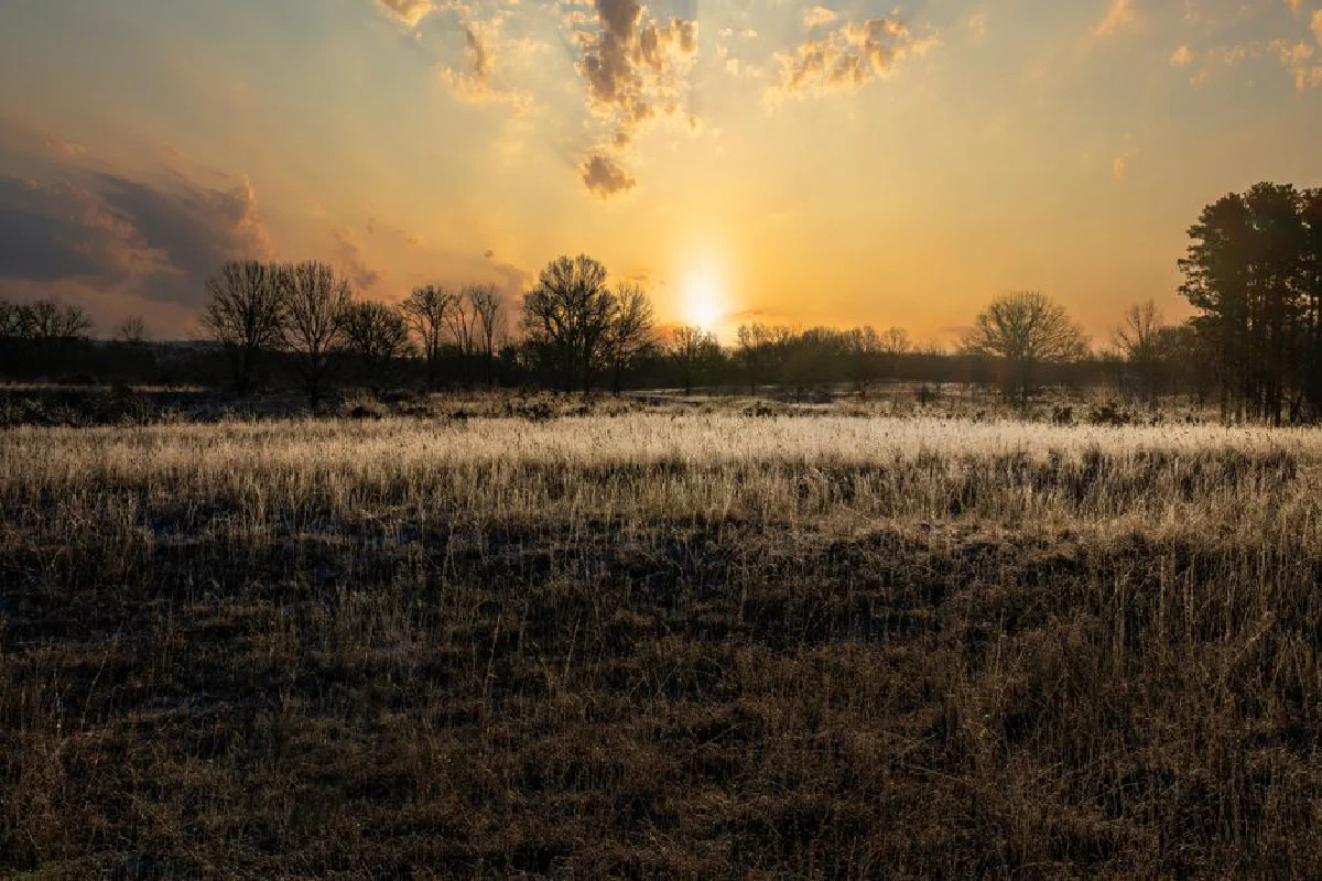 Serene sunset over a frosty field in Kellogg, Minnesota, capturing the beauty of nature.