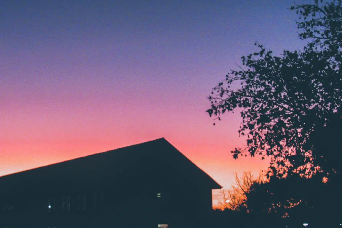 Silhouetted trees and houses against a vibrant Cape Town sunset with a dramatic purple and orange sky.