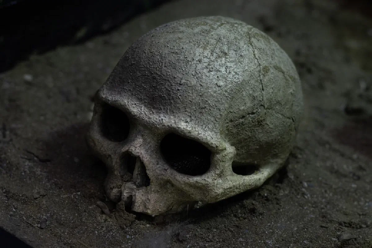 Close-up of a weathered skull resting on a dark gritty surface, evoking mystery and history.