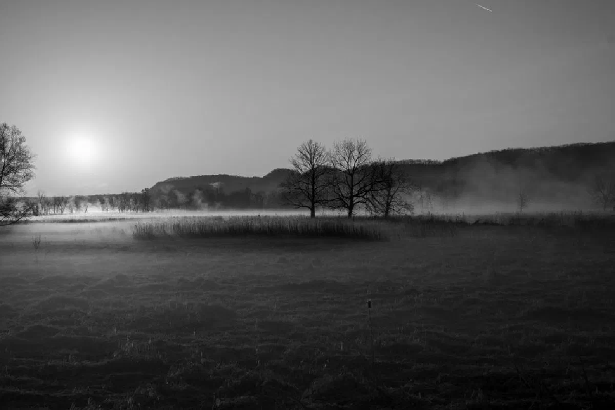 Serene black and white landscape with mist and trees at sunrise in Weaver, Minnesota.