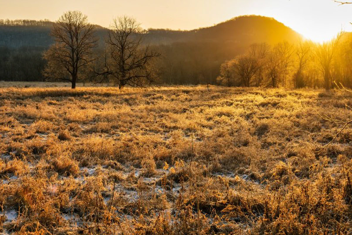 A serene winter sunset over frosty fields and bare trees in Elba, Minnesota.
