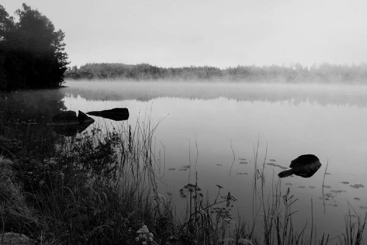 A calming black and white image of a misty lake shore with grasses and stones, evoking silence and tranquility.