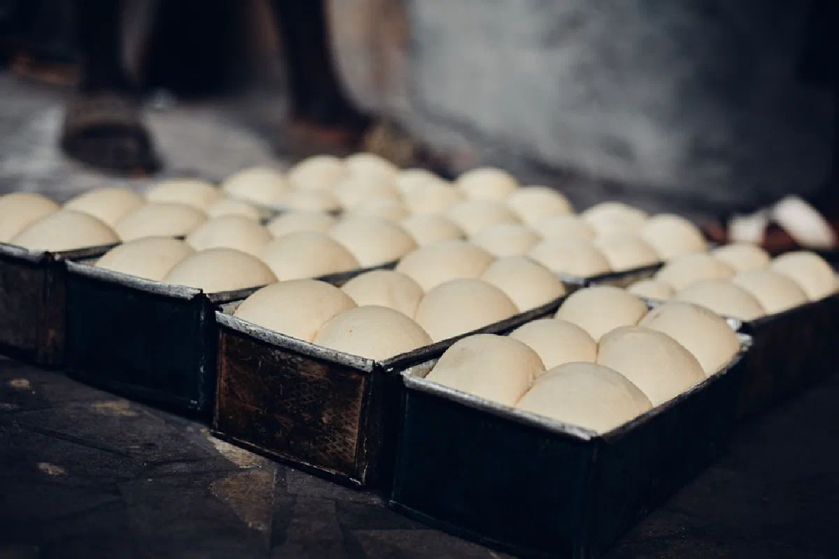 Rows of fresh bread dough rising in metal trays in a dimly lit rustic kitchen.