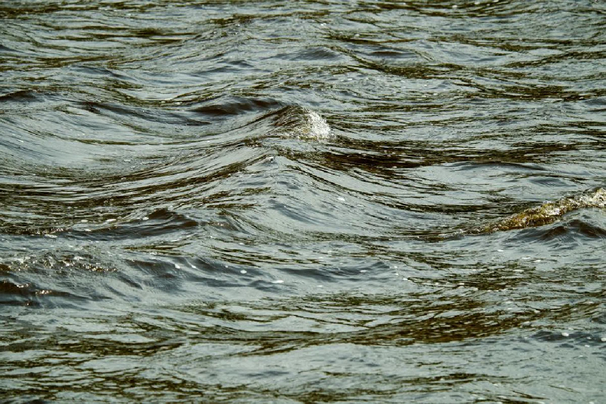 A captivating close-up of ocean waves showing intricate textures and movement.