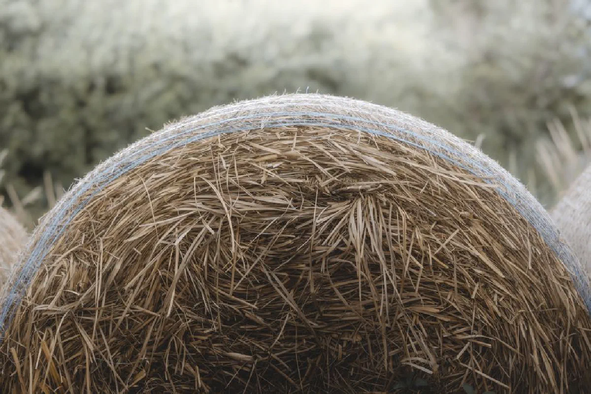 A rustic hay bale in the serene landscape of Caldaro, Trentino-Alto Adige, Italy.