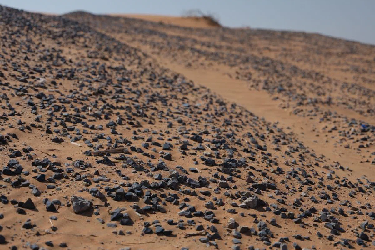 A sunlit desert landscape featuring scattered rocks and sandy textures under a clear sky.