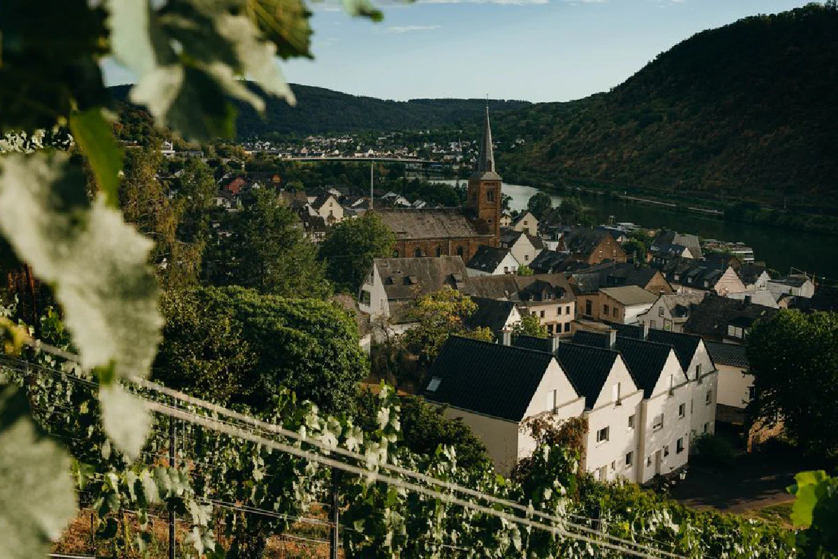 A picturesque village surrounded by lush vineyards by the river in a serene valley setting.