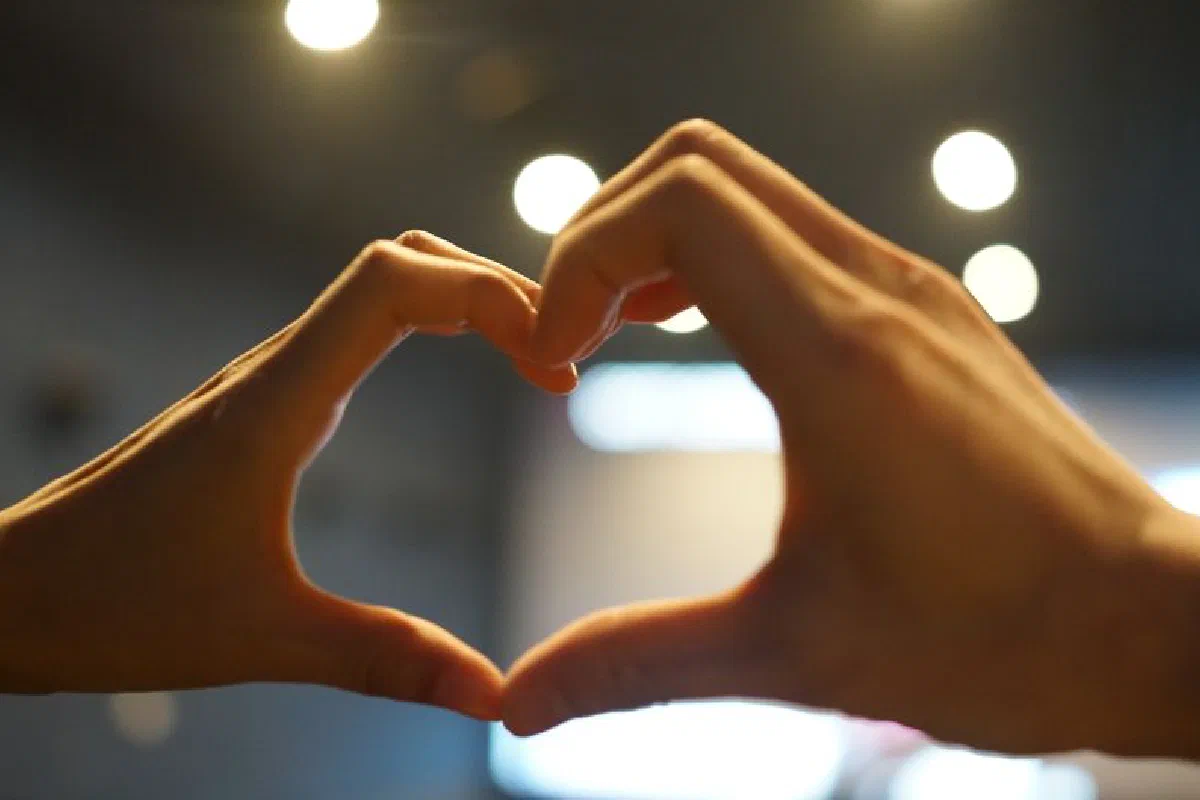 Close-up of hands forming a heart shape in ambient light, symbolizing love and connection.