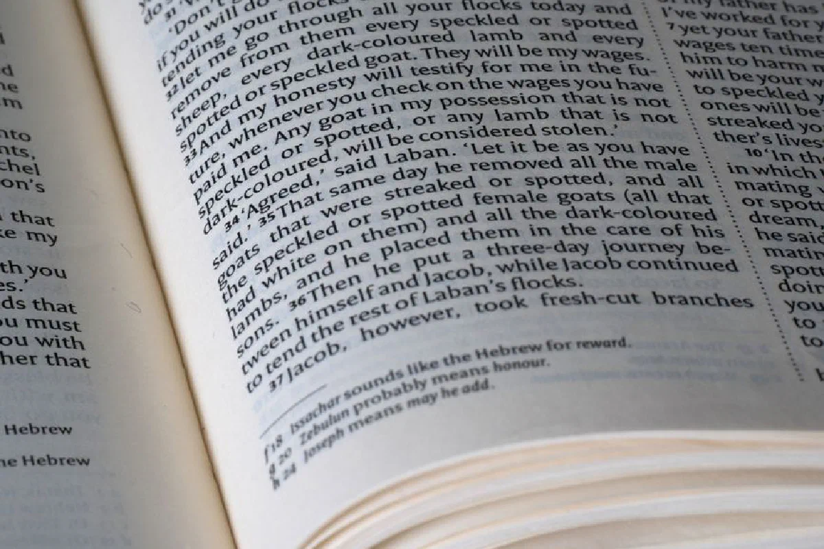 Close-up of an open Bible focusing on text from the Book of Genesis, illuminated by natural light.