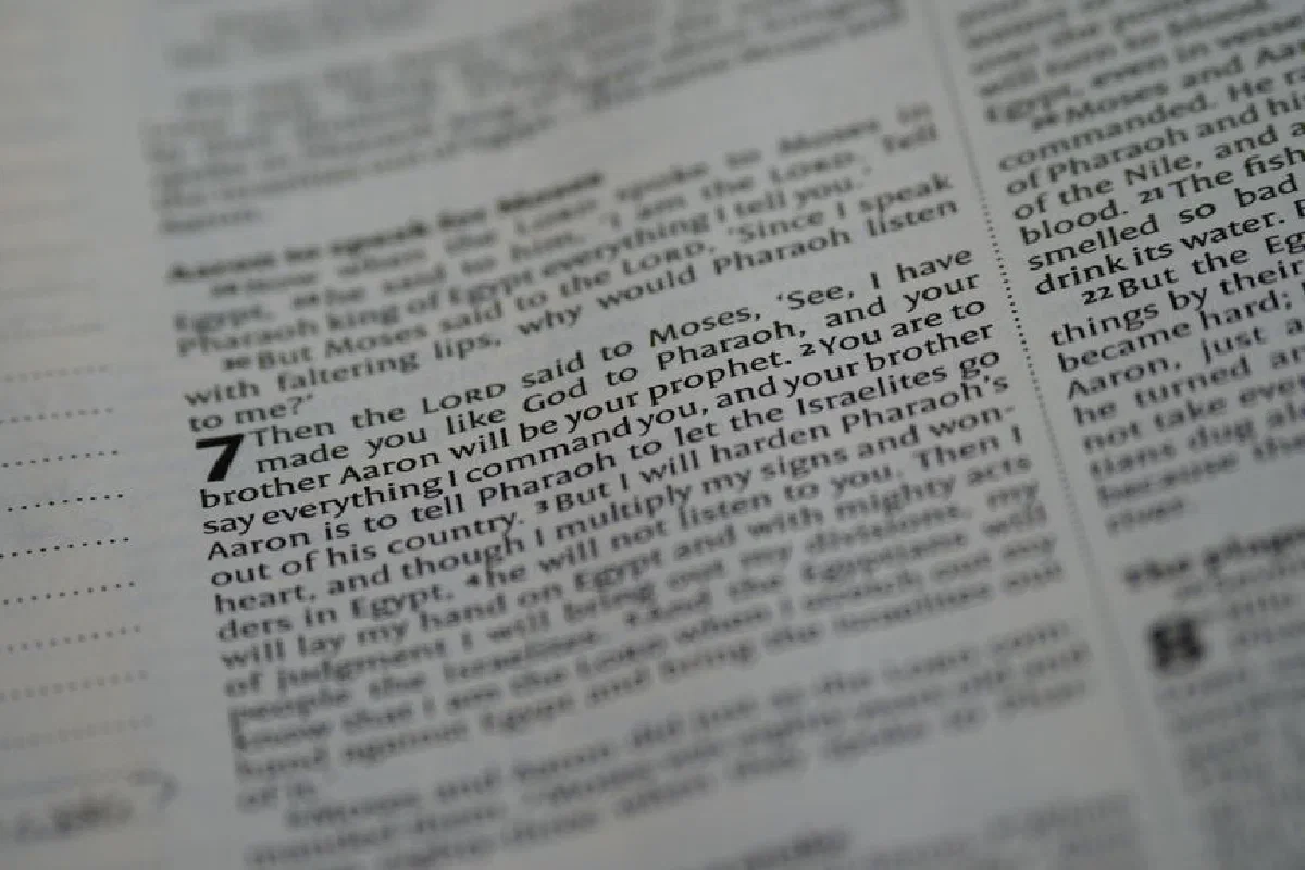Close-up view of a Bible page highlighting scripture text with focus on verse numbers.