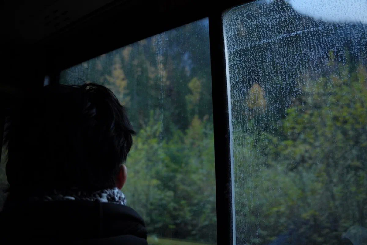 A person looks out a rainy window at a forest landscape, evoking solitude and contemplation.